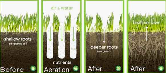 Cheyenne core aeration service