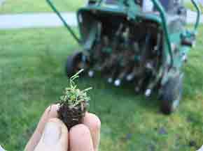 commercial lawn aeration company in Cheyenne WY