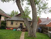 big tree removal company Cheyenne WY