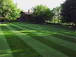 lawn fertilization makes for a green lawn in Cheyenne