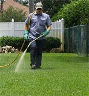 EnvisiaCare employee doing lawn fertilization in Cheyenne Wyoming